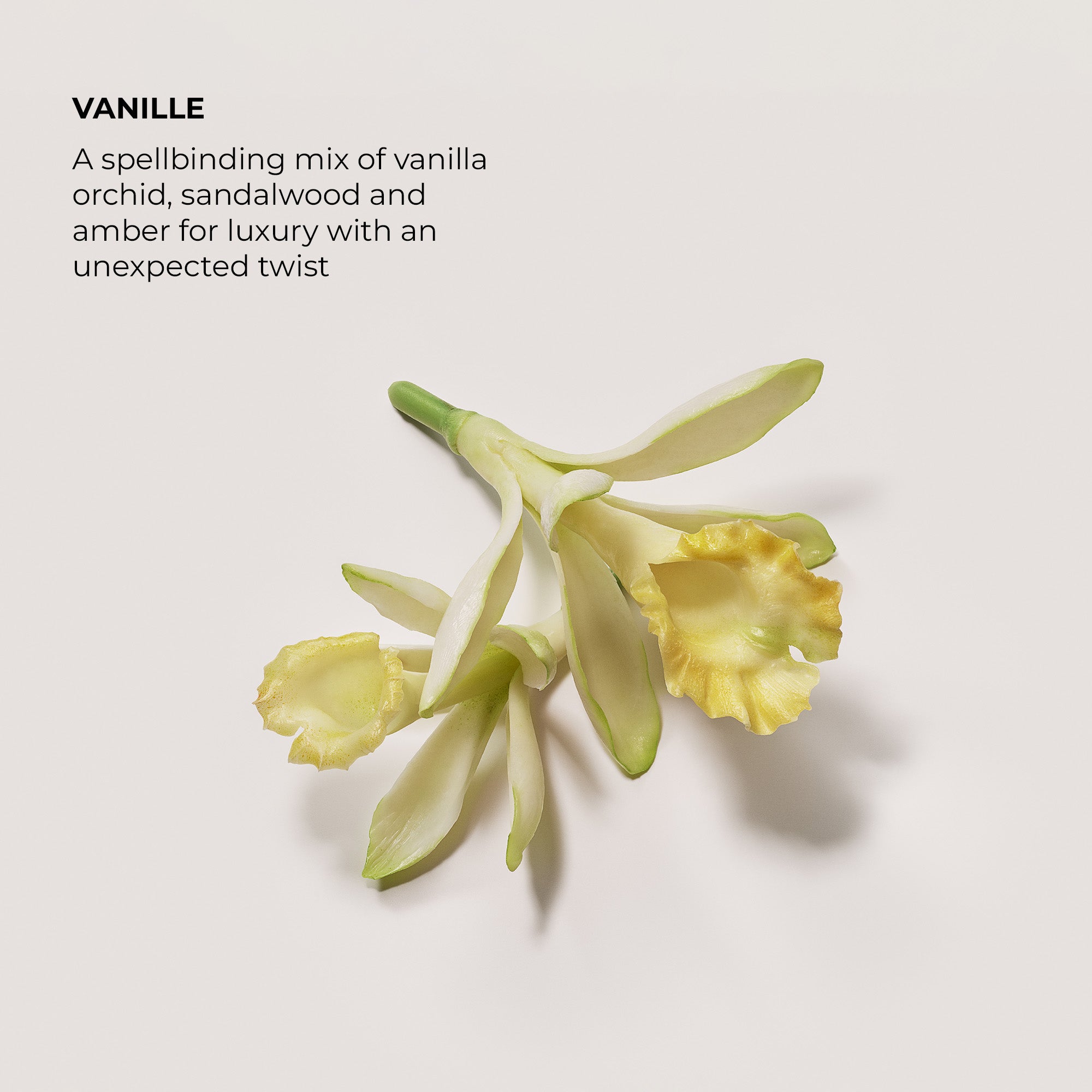 Vanille Eau de Parfum - Image 2